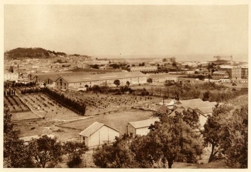 Photo envoy�e par M. C. Ciantar